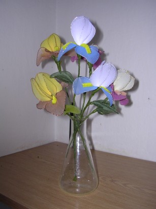 Kosatce a tulipány.